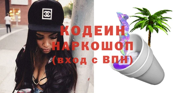 хмурый Алексин