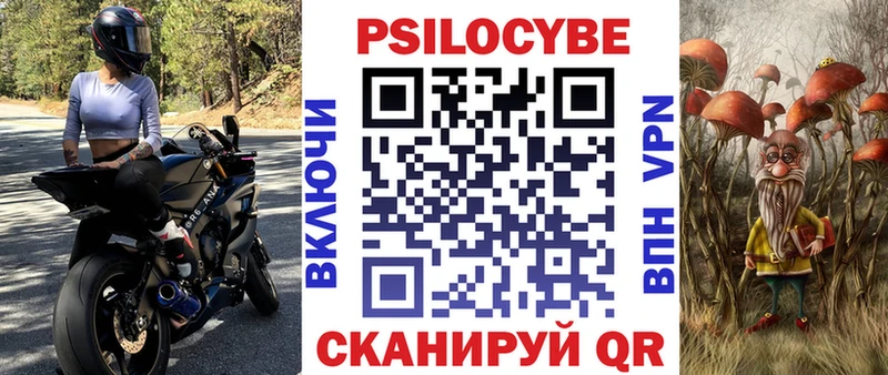 купить  цена  Благовещенск  Галлюциногенные грибы Psilocybe 