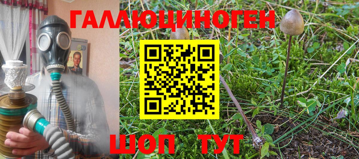 Галлюциногенные грибы Psilocybe  Вход с VPN  цена   Благовещенск 